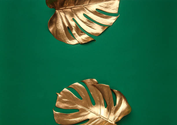 istock Golden monstera leaves on green background 1140015802