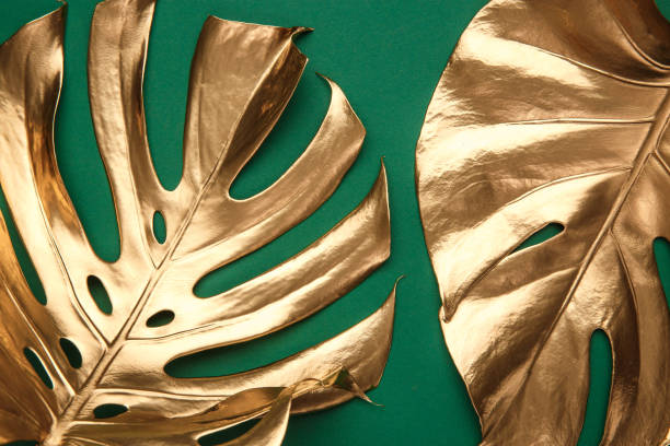 istock Golden monstera leaf on green background 1140015804