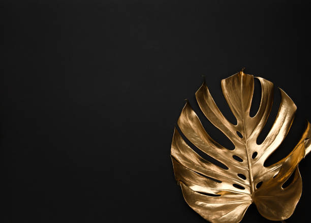 istock Golden monstera leaf on black background 1140015807