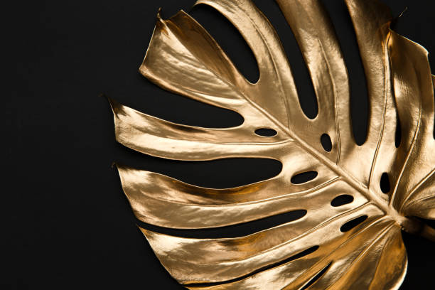 istock Golden monstera leaf on black background 1140015808
