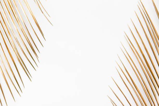 istock Golden palm leaves on white background 1140015810