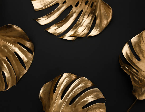 istock Golden monstera leaf on black background 1140015811