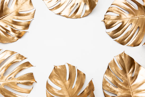 istock Gold monstera leaves on white background isolated 1140015812
