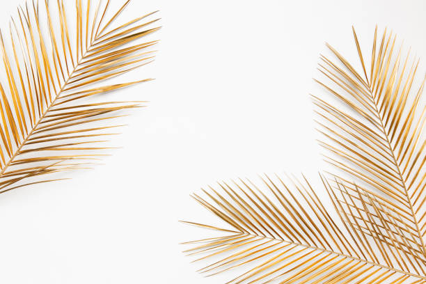 istock Gold painted date palm branches on white background 1140015813