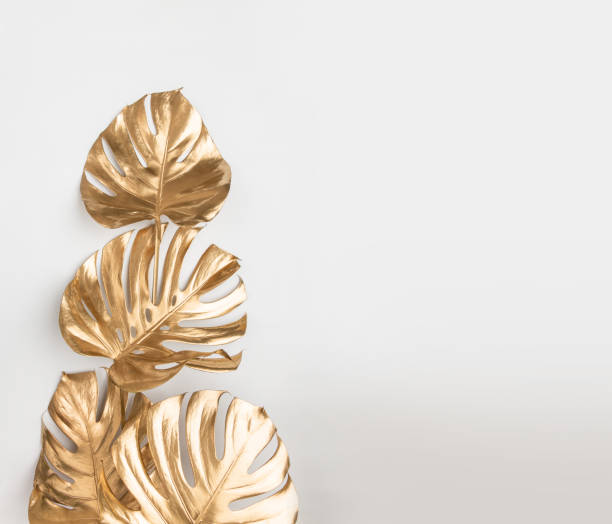 Gold painted monstera leaves on white background