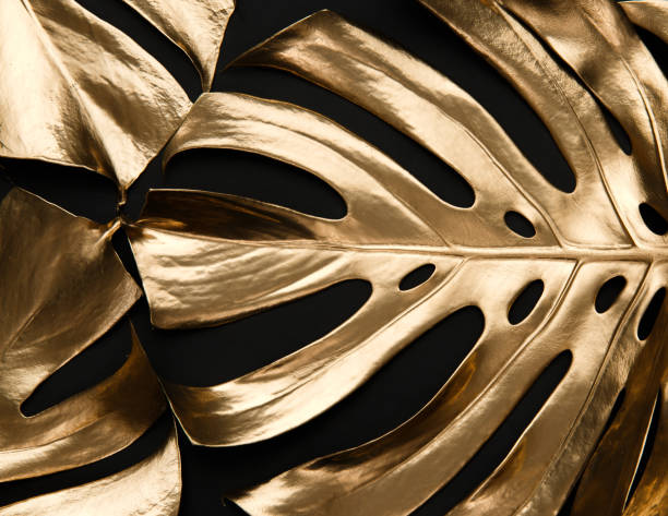 istock Golden monstera leaf on black background 1140015817