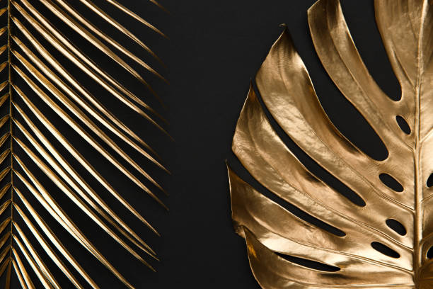 istock Golden monstera leaf on black background 1140015826