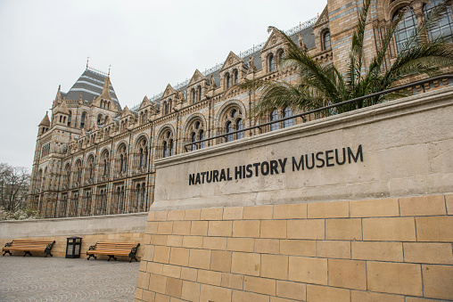 London, UK - March 22, 2019: The Natural History Museum in London exhibits a vast range of specimens from various segments of nature history