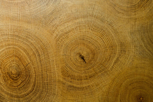 istock abstract brown natural wooden texture 1140018252