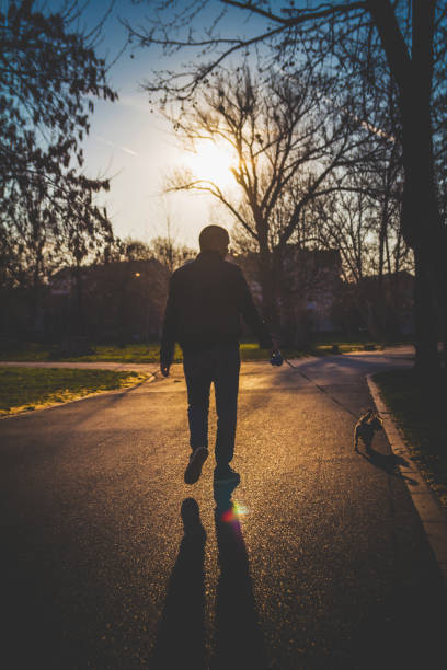 istock Man with dog walking on in the park during sunset 1140020644