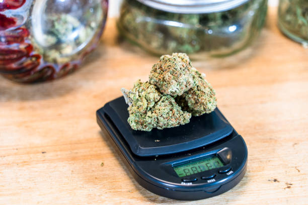 istock Marijuana legalization THC cannabis flower on scale 1140022796