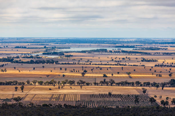 istock Yellow fields and lake in Australian countryside 1140032195