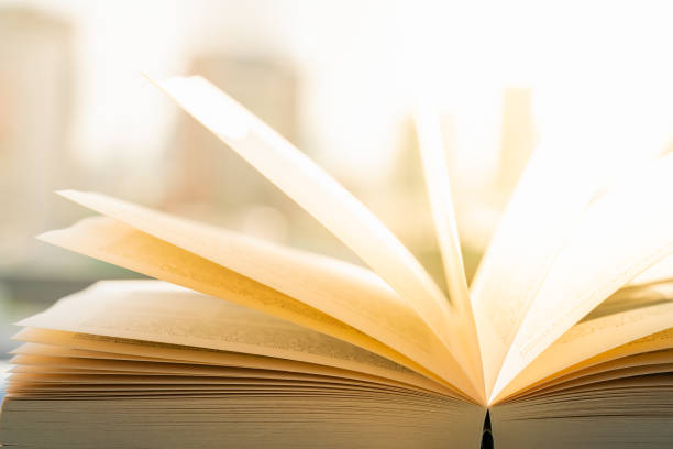 istock Open book under sunlight with city backgrouns. 1140036510