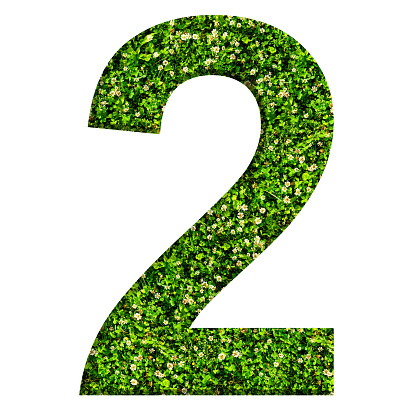 Number 2 made of green grass and clovers. Number isolated on white background