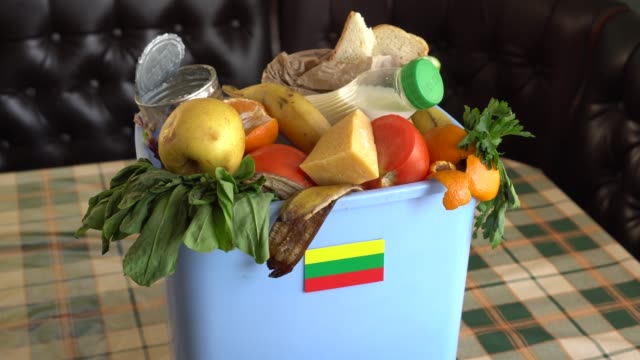 Food waste in Trash Bin. The problem of food waste in Lithuania