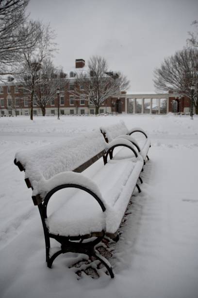 Baltimore in the Winter - Snowy Bench