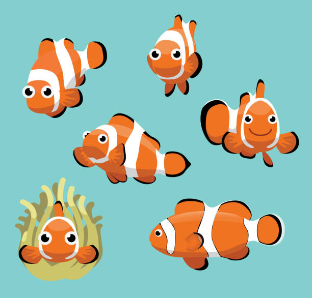 niedlicher clownfisch verschiedene poses cartoon vector - anemonenfisch stock-grafiken, -clipart, -cartoons und -symbole