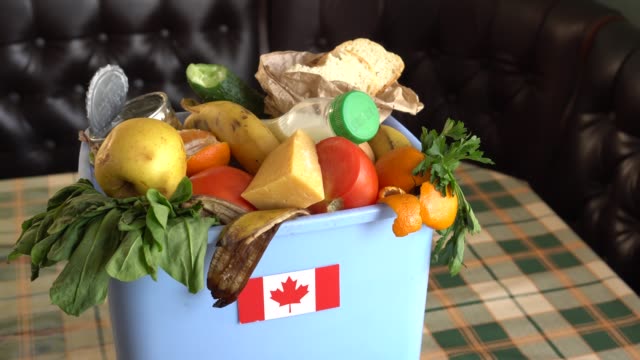 Food waste in Trash Can. The problem of food waste in Canada