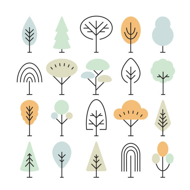 illustrations, cliparts, dessins animés et icônes de ensemble d’icônes d’arbre d’isolement sur le fond blanc. sapin, tilleul, sprout, érable, chêne, épinette, baobab, cyprès, peuplier, frêne. parfait pour les pages web, les applications mobiles, la production d’impression - linden tree