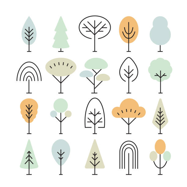 zestaw ikon drzewa izolowanych na białym tle. jodła, lipa, kiełk, klon, dąb, świerk, baobab, cyprys, topola, jesion. idealny do stron internetowych, aplikacji mobilnych, drukowania - poplar tree leaf green tree stock illustrations
