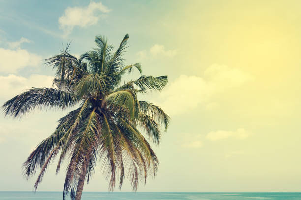 istock Tropical sea landscape with palm 1140053886