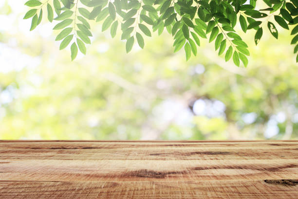 istock Empty wooden and blurred green nature garden background. 1140055334