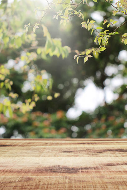 istock Empty wooden and blurred green nature garden background. 1140056488