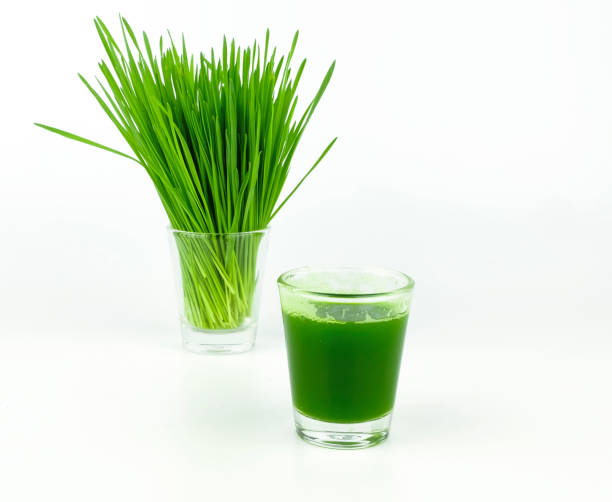 istock shot of wheat grass 1140061015