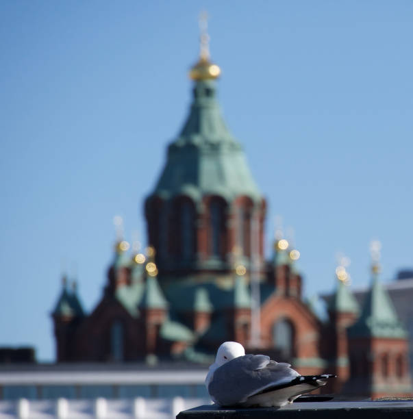 View on the Uspenski Cathedral in Helsinki and a seagull