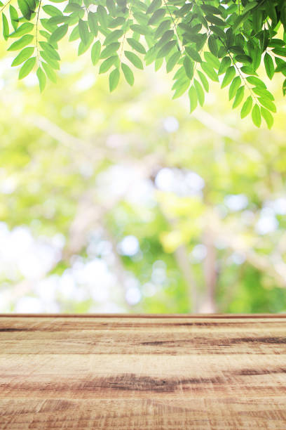 istock Empty wooden and blurred green nature garden background. 1140061312