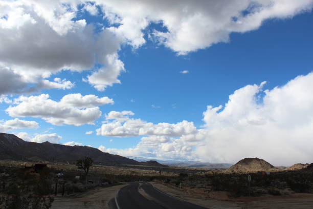 istock PARK BOULEVARD - JOSHUA TREE NATIONAL PARK - 021919 B 1140062642