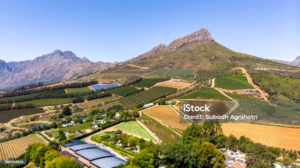 Vineyards with mountains in Stellenbosch, Cape Town, South Africa This pic shows the aerial view of Vineyards with mountains in background in Cape Town. The wine farms are famous in this area and produced large amount of wine. The pic is taken by drone and in daytime of march 2019. Cape Town Stock Photo