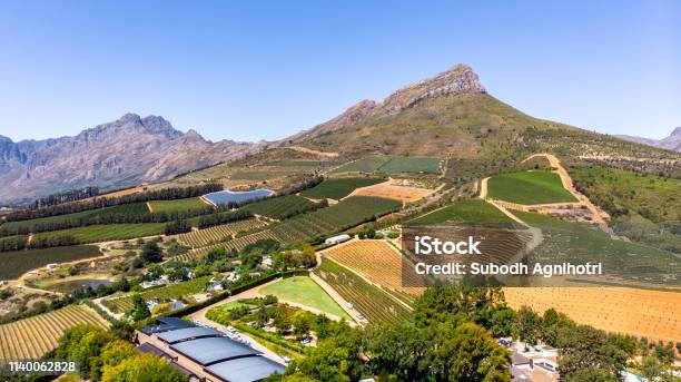 Vineyards With Mountains In Stellenbosch Cape Town South Africa Stock Photo - Download Image Now