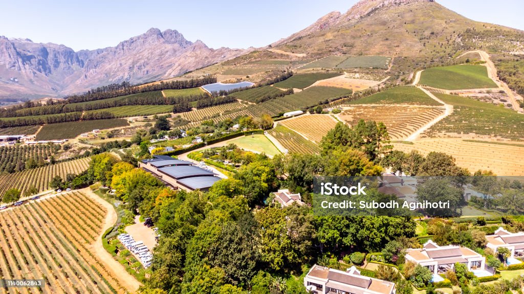 Vineyards with mountains in Stellenbosch, Cape Town, South Africa This pic shows the famous vineyards and wine farms in south africa. The image shows Vineyards with mountains on background on a sunny day in Stellenbosch. The grape farm can be seen in the pic. The pic is taken in march 2019. Cape Town Stock Photo