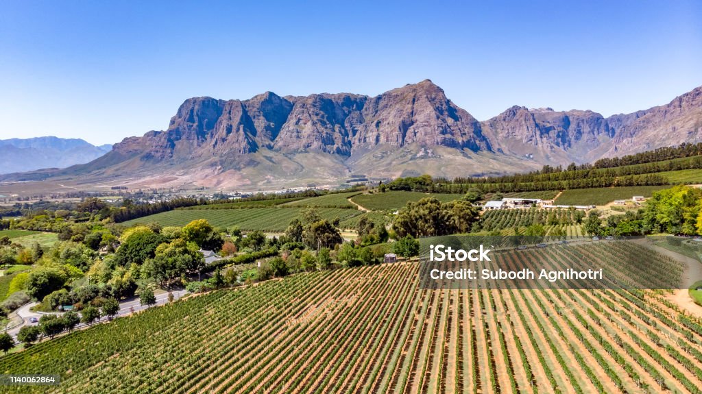 Vineyards with mountains in Stellenbosch, Cape Town, South Africa This pic shows the famous vineyards and wine farms in south africa. The image shows Vineyards with mountains on background on a sunny day in Stellenbosch. The grape farm can be seen in the pic. The pic is taken in march 2019. Aerial View Stock Photo