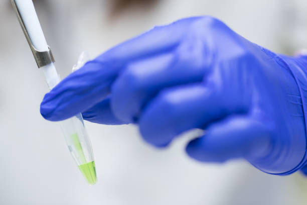 istock Scientist with pipette and test tube, examining samples and liquid in laboratory 1140067589