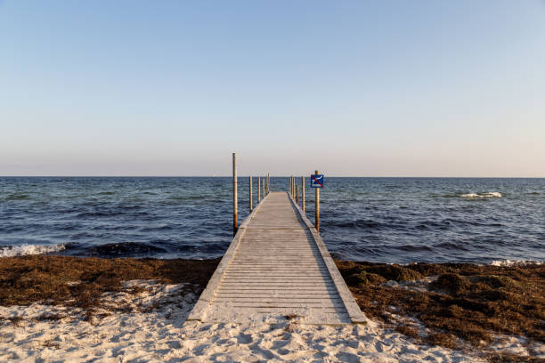 istock Wooden Pier at Ishoj Beach, Denmark 1140069129