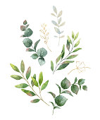 istock Watercolor vector wreath with green eucalyptus leaves and flowers . 1140069138