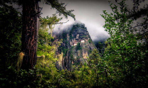 Tiger Nest view of tiger nest from the forest taktsang monastery photos stock pictures, royalty-free photos & images