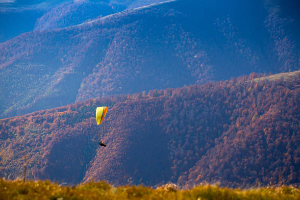 parapendio che sorvola i carpazi nella giornata autunnale estiva. boržava. ucraina. - outdoors nature paragliding autumn foto e immagini stock