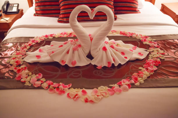 interior do quarto romântico, beijando swan origami toalhas e polvilhado fresco rosa branco rosa flor pétalas decoração na cama para casal recém-casado. casamento, aniversário, lua de mel, amor, conceito do símbolo - honeymoon romance wedding bedroom - fotografias e filmes do acervo