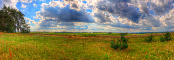 istock Landscape with meadow and trees under cloudy sky 1140084245
