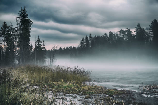 istock Foggy morning in early Spring 1140089183