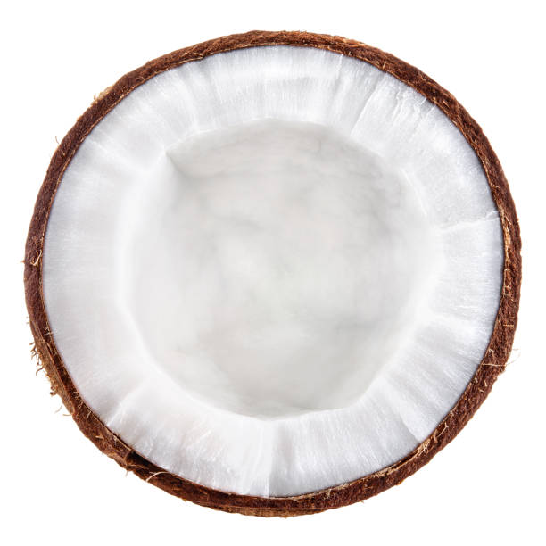 Coconut isolate top view. Coconut isolate top view. High quality white coconut slice texture. halved stock pictures, royalty-free photos & images