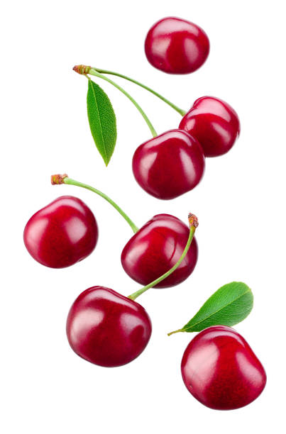 istock Cherry. Cherries isolated on white. Cherries background - Image 1140099634