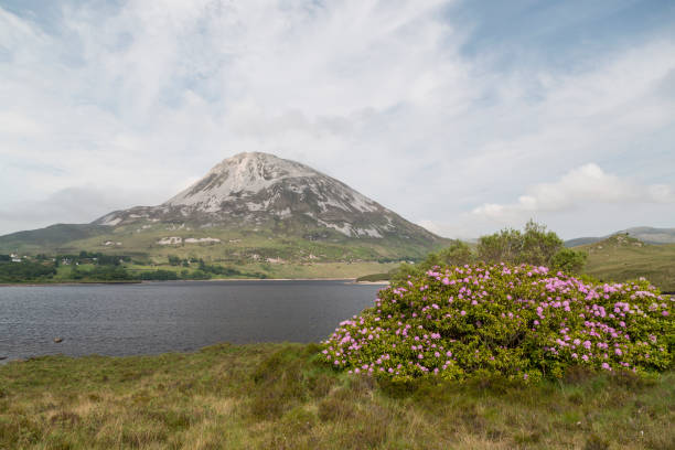 エリガル山 - republic of ireland mount errigal mountain landscape ストックフォトと画像