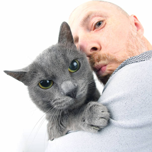 istock portrait of a grey cat with a man 1140101661