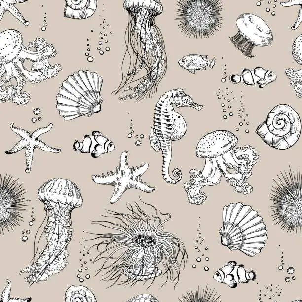 Vector illustration of Seamless pattern with underwater creatures, jellyfish, starfish, sea horse, sea urchin, clown fish and shells.
