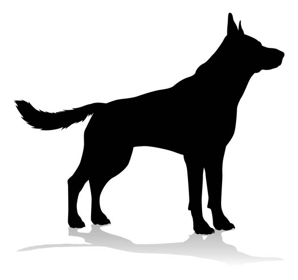 собака silhouette pet животных - немецкая овчарка stock illustrations