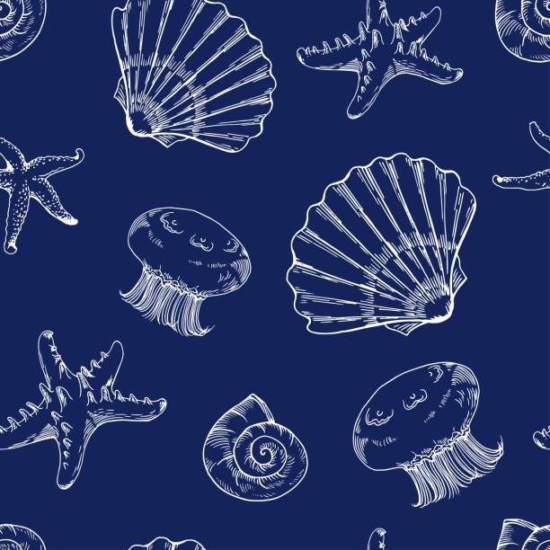 ilustrações, clipart, desenhos animados e ícones de padrão semless com conchas, starfishes e jellyfishes. - sea snail